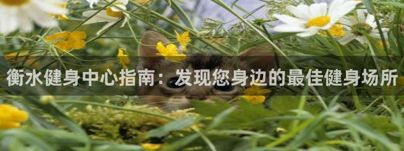 尊龙新版登录网址下载：衡水健身中心指南：发现您身边的最佳