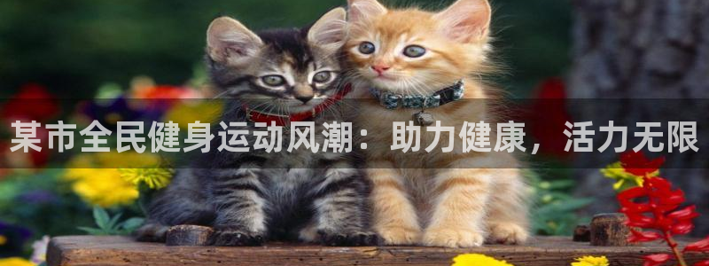 凯时官网手机版首页：某市全民健身运动风潮：助力健康，活力