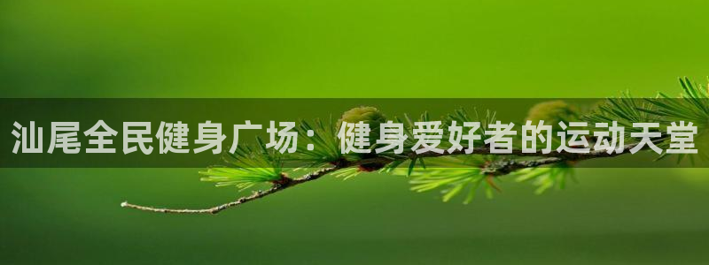尊龙凯时平台信誉怎样：汕尾全民健身广场：健身爱好者的运动