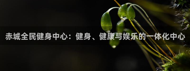 凯时K66最新版本下载：赤城全民健身中心：健身、健康与娱