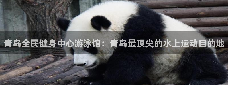尊龙游戏官方网：青岛全民健身中心游泳馆：青岛最顶尖的水上