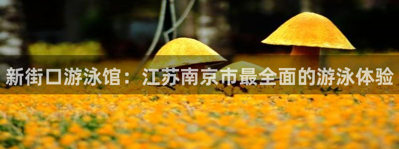 尊龙官网首页：新街口游泳馆：江苏南京市最全面的游泳体验