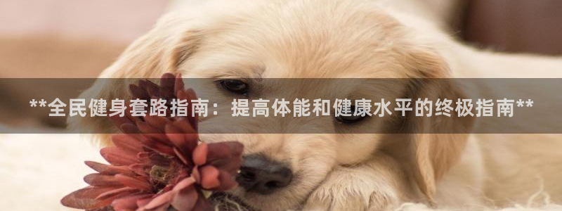尊龙在线登录官网：**全民健身套路指南：提高体能和健康水