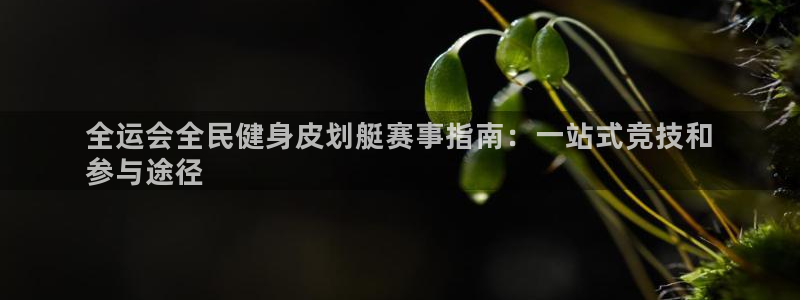 尊龙AG旗舰店：全运会全民健身皮划艇赛事指南：一站式竞技