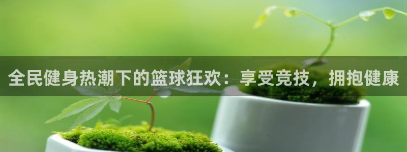 尊龙 10：全民健身热潮下的篮球狂欢：享受竞技，拥抱健康
