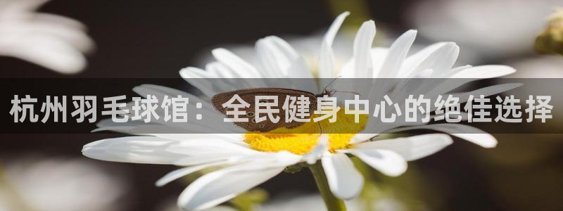 尊龙人生就是博：杭州羽毛球馆：全民健身中心的绝佳选择
