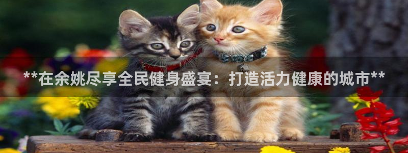 凯时平台app：**在余姚尽享全民健身盛宴：打造活力健康