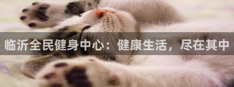 尊龙新版官网网页版：临沂全民健身中心：健康生活，尽在其中