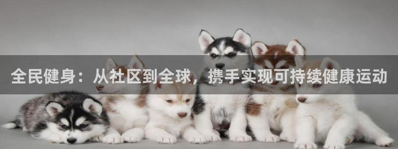 ZL尊龙凯时平台