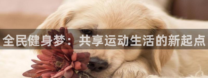 尊龙集团有限公司