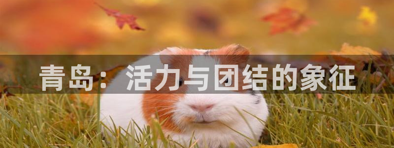 尊龙人生就是博l