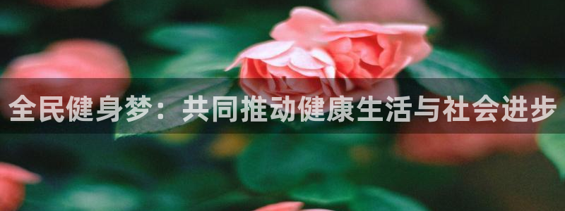 尊龙凯时一人生就是博登入