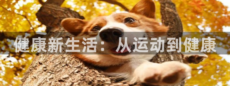 尊龙现金推荐ag发财网