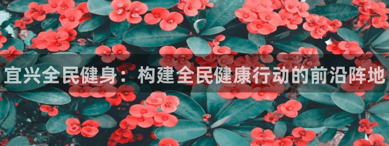 尊龙app下载官网
